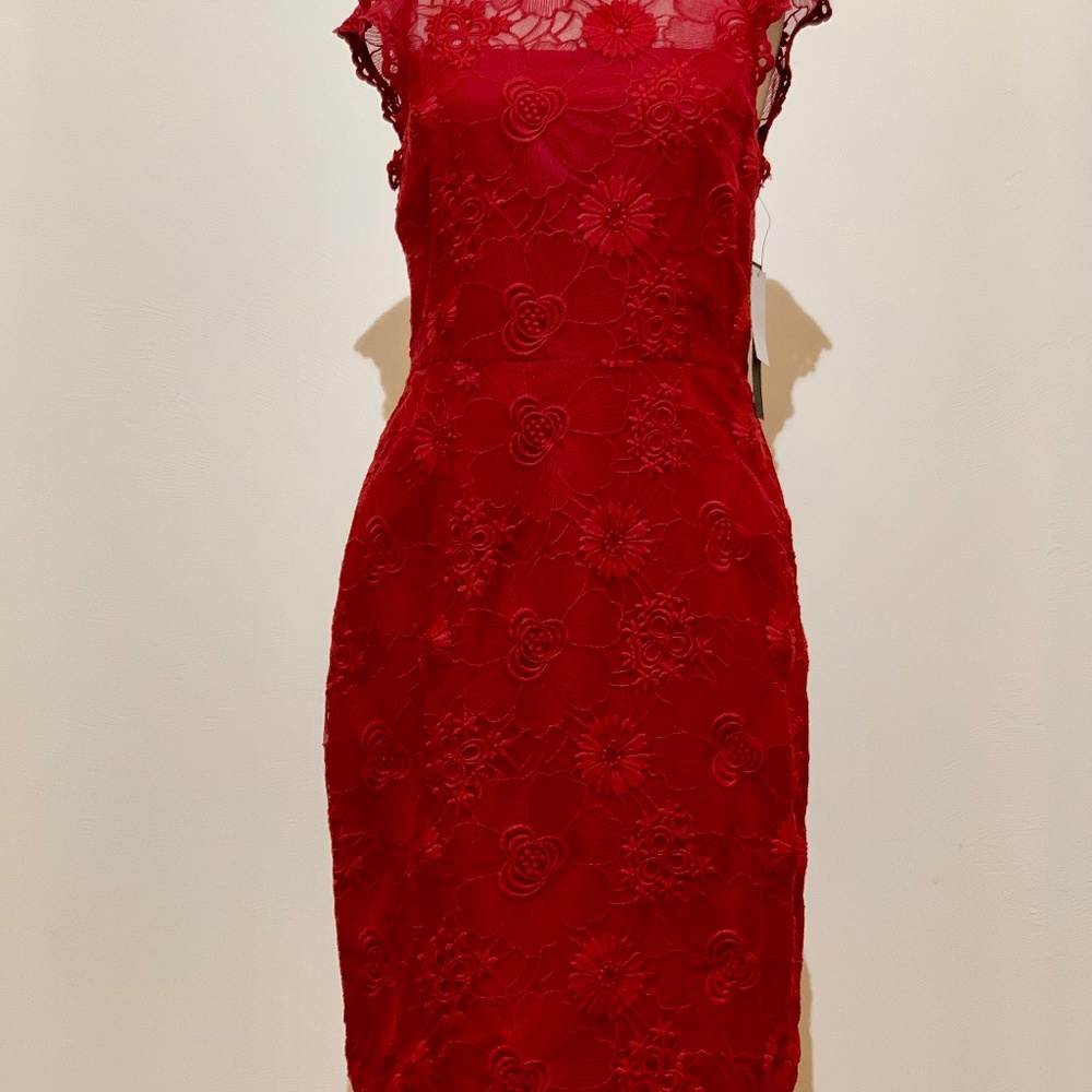 🔥NWT🔥 Cynthia Steffé "Ruby" Dress - Size 6✨✨✨ - Picture 8 of 16